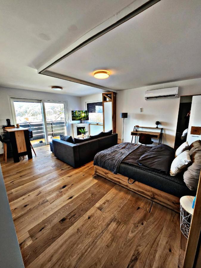 Lions Place Premium Apartments Executive Luxus Penthouse Inklusive Spa Heidenheim an der Brenz Zewnętrze zdjęcie