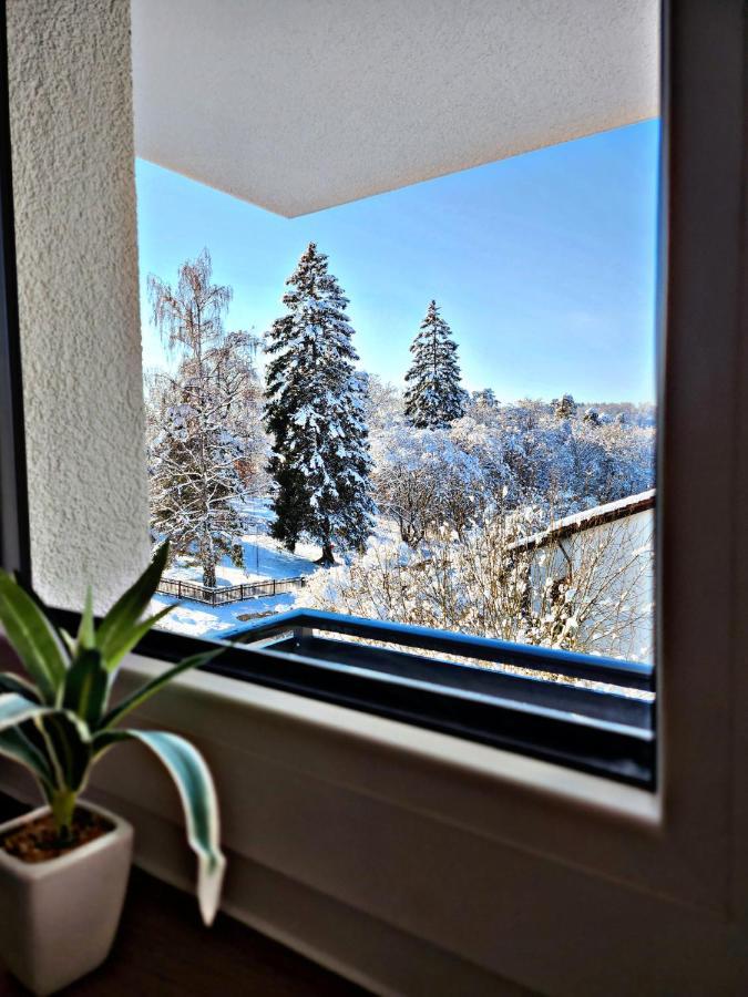 Lions Place Premium Apartments Executive Luxus Penthouse Inklusive Spa Heidenheim an der Brenz Zewnętrze zdjęcie