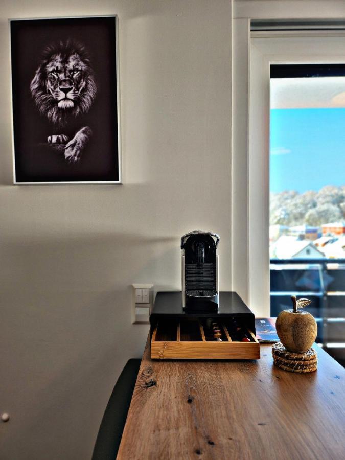 Lions Place Premium Apartments Executive Luxus Penthouse Inklusive Spa Heidenheim an der Brenz Zewnętrze zdjęcie