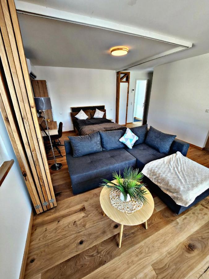 Lions Place Premium Apartments Executive Luxus Penthouse Inklusive Spa Heidenheim an der Brenz Zewnętrze zdjęcie
