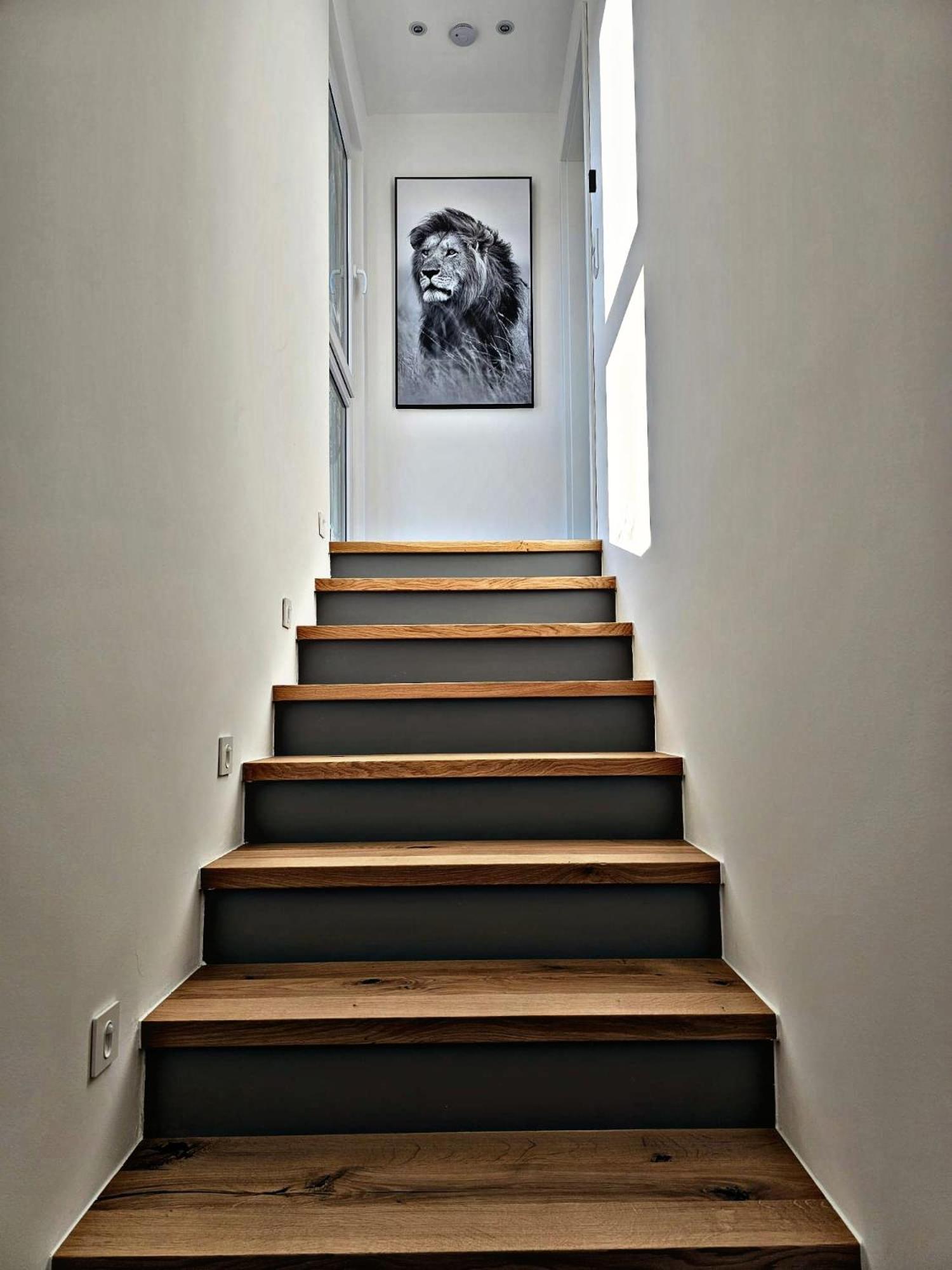 Lions Place Premium Apartments Executive Luxus Penthouse Inklusive Spa Heidenheim an der Brenz Zewnętrze zdjęcie