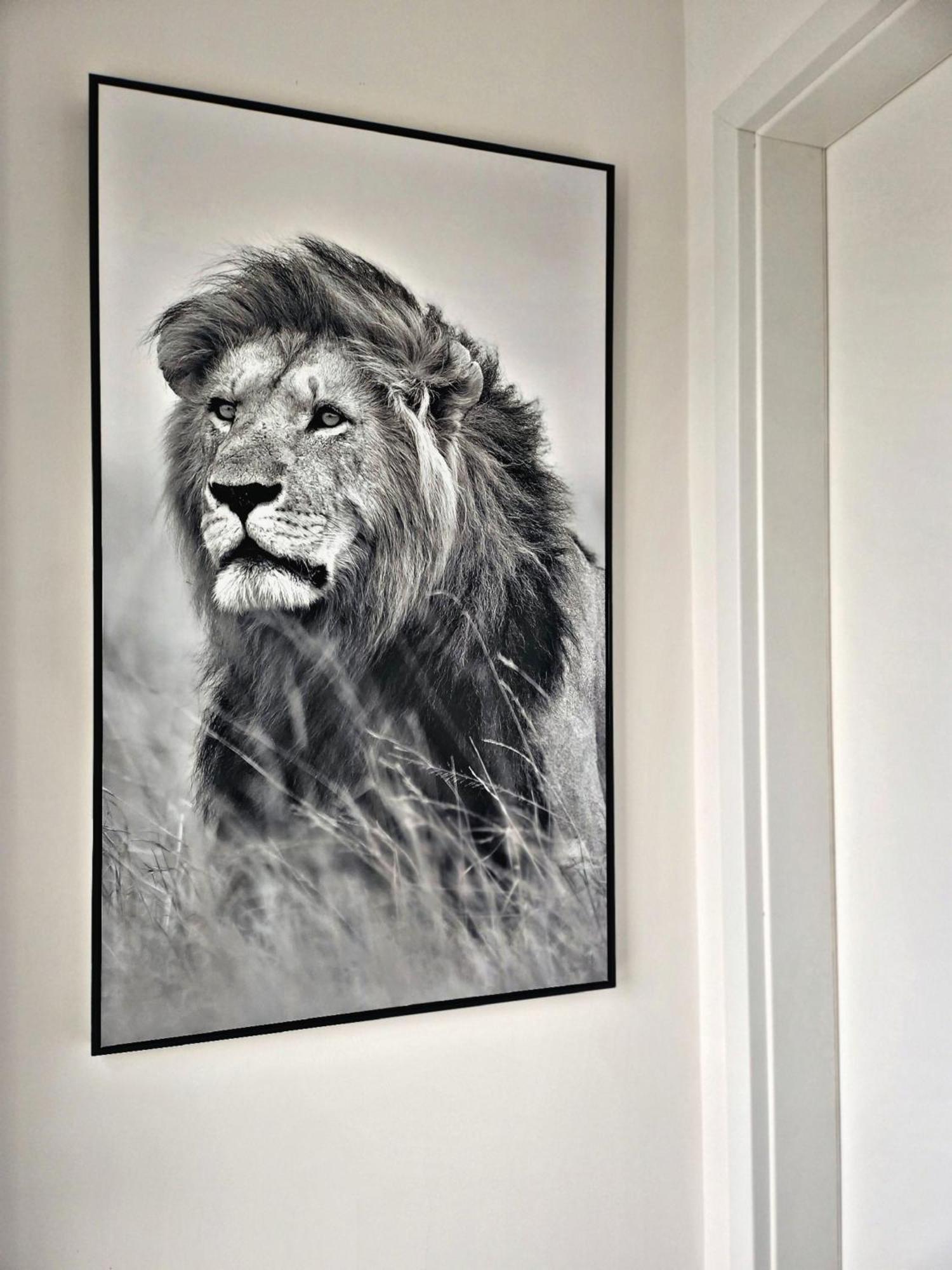 Lions Place Premium Apartments Executive Luxus Penthouse Inklusive Spa Heidenheim an der Brenz Zewnętrze zdjęcie