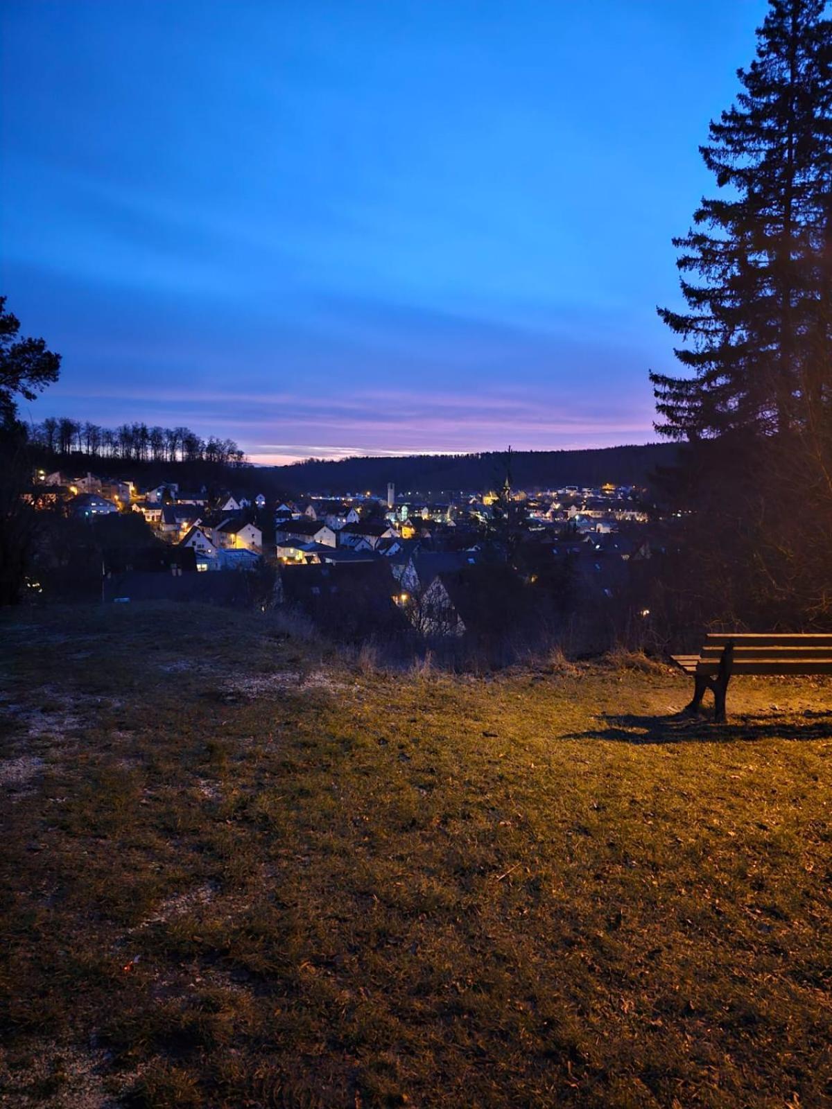 Lions Place Premium Apartments Executive Luxus Penthouse Inklusive Spa Heidenheim an der Brenz Zewnętrze zdjęcie