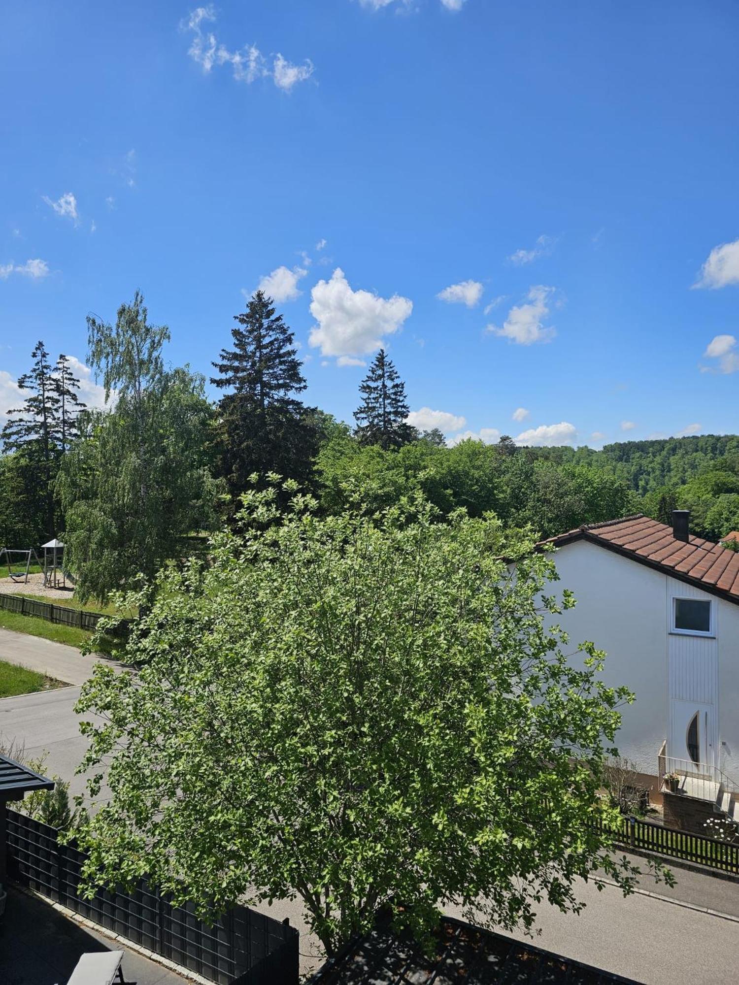 Lions Place Premium Apartments Executive Luxus Penthouse Inklusive Spa Heidenheim an der Brenz Zewnętrze zdjęcie